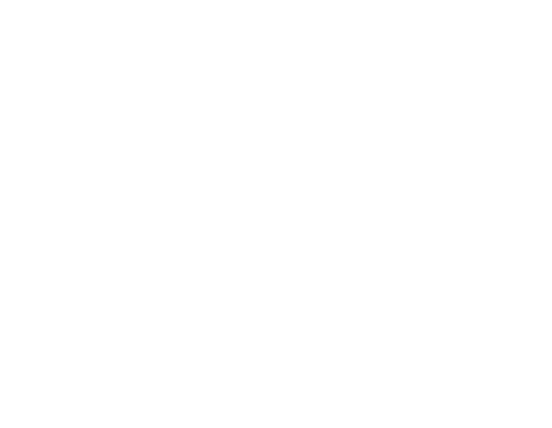 Icon zur Visualisierung für lokale Keywords beim Thema Local SEO